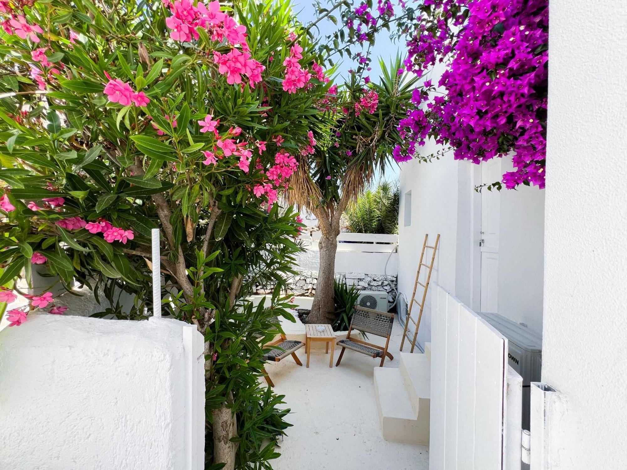 Double Room Terrace,1667496062:JPEG
