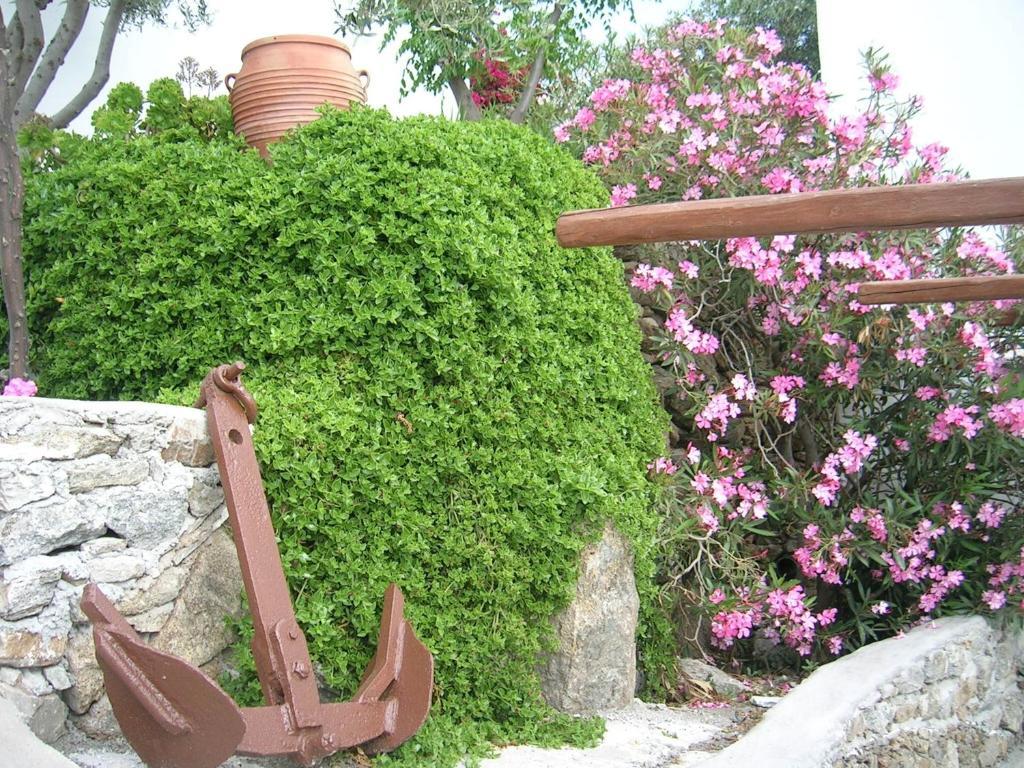 Double or Twin Room with Sea View,31429535:JPEG