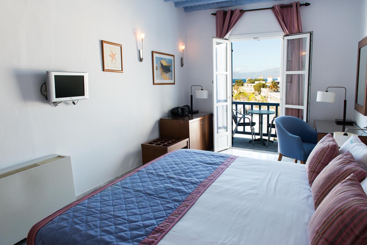 Deluxe Double or Twin Room,546746511:JPEG