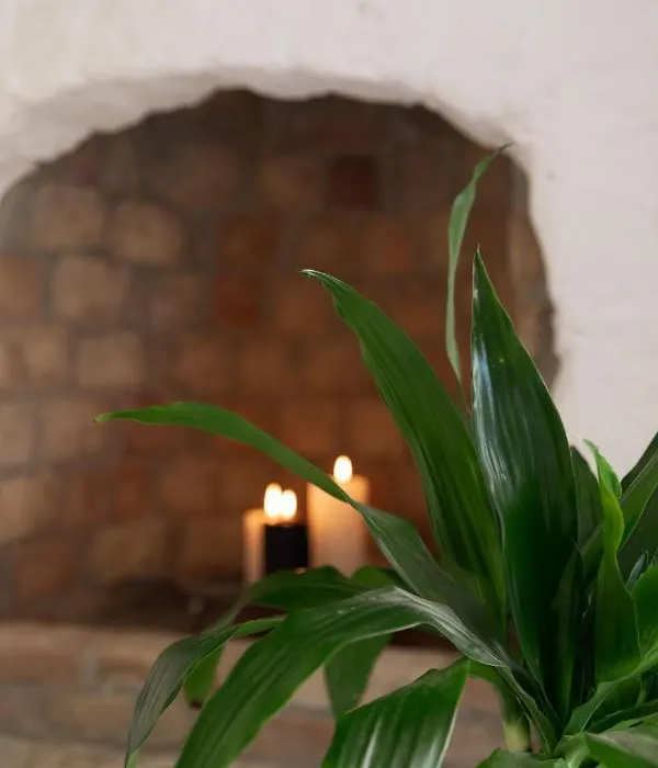 Pi Domus, Π Domus-1