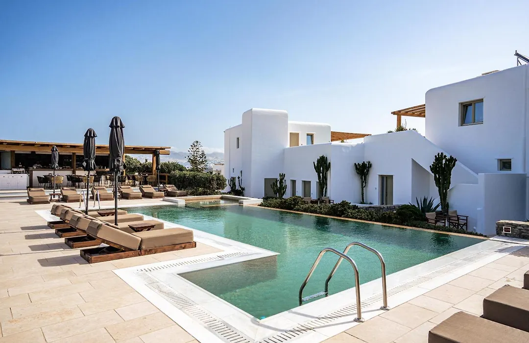Mykonos Cactus-1