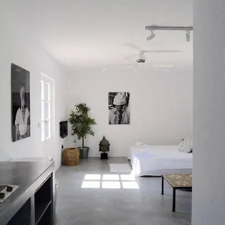 Beautiful, Sunny Apartment In Mykonos Town-3