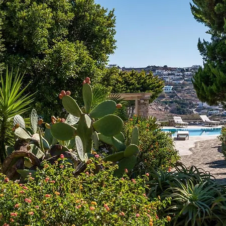 Yalos Mykonos Ornos Pouli private apartments w shared swimming pool-3