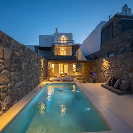 Actors Spa Villa-Mini Pool-2
