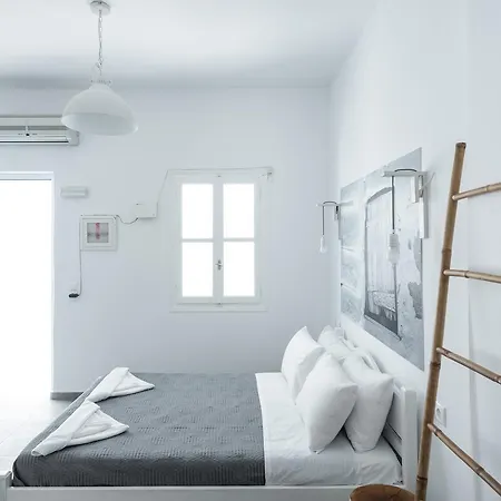 White And Grey Chora-2