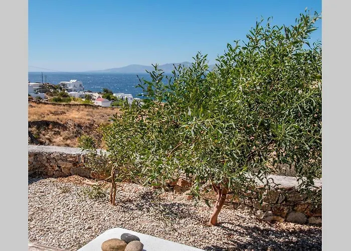 Lilly'S Seaview Apartment Mykonos Town
