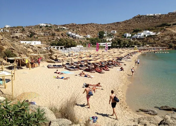 Pet friendly Pyrgi Artemis Place Super Paradise Beach 