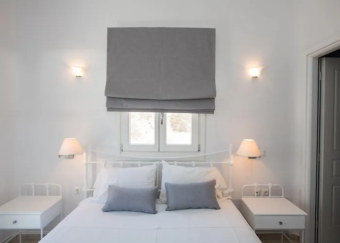 Pet friendly Villa Nireas Platys Gialos 