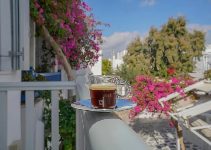 Villa Mykonos 22 Mykonos Town privato