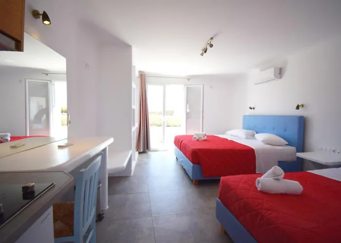 New Paradise Mykonos Town che accetta animali