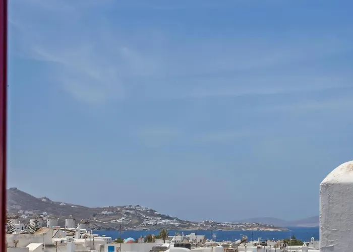 The Lavish Suite Mykonos Town admite animales