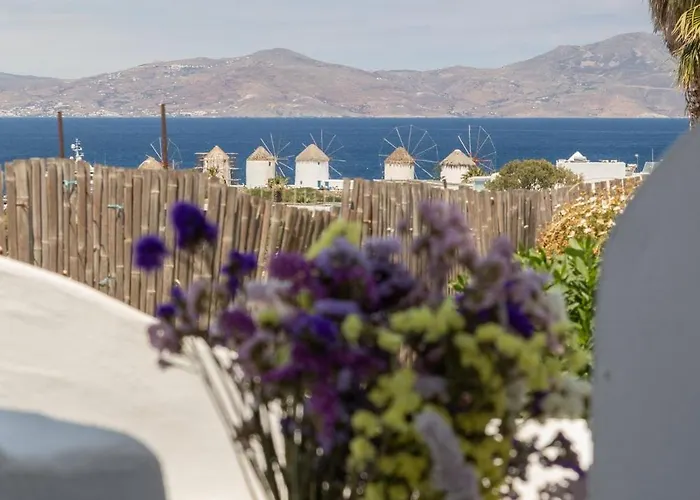 Aparthotel Dimele Mykonos Town