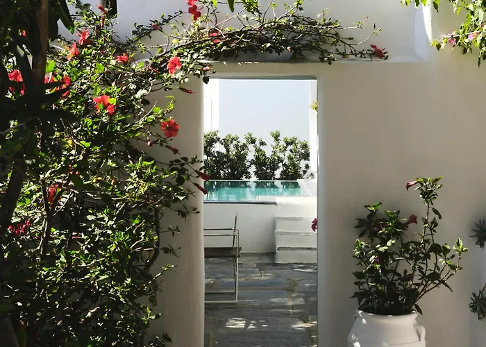 Hoteles que admiten Mascotas en Mykonos Town 