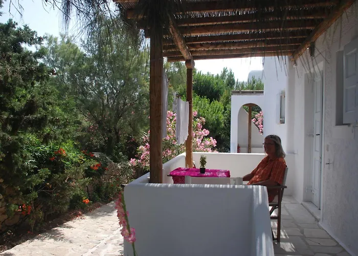 Pet friendly Elenis Studio Ornos 